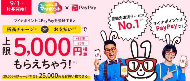 マイナポイント　PAYPAY